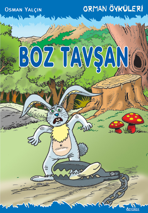 Boz Tavşan