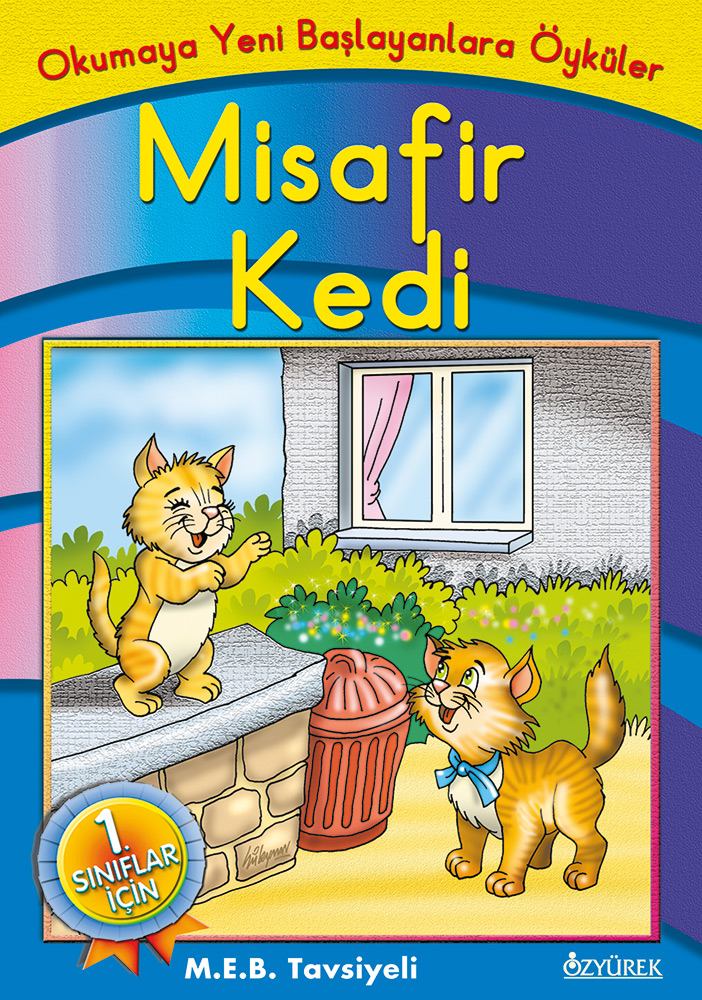 Misafir Kedi