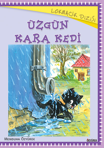 Üzgün Kara Kedi